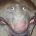 Gremlin avatar