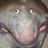 Gremlin avatar