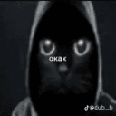 polukotik avatar