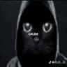 polukotik avatar