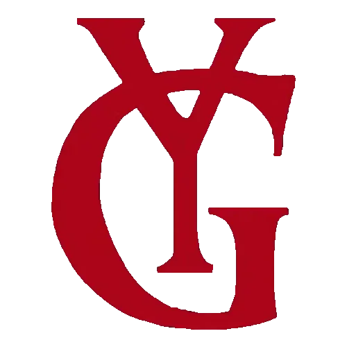 Yung Guns logo